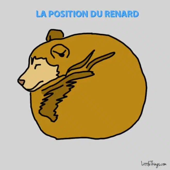 La position du renard