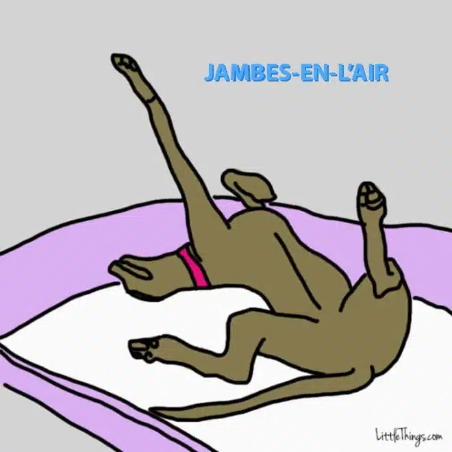 Jambes-en-l’air